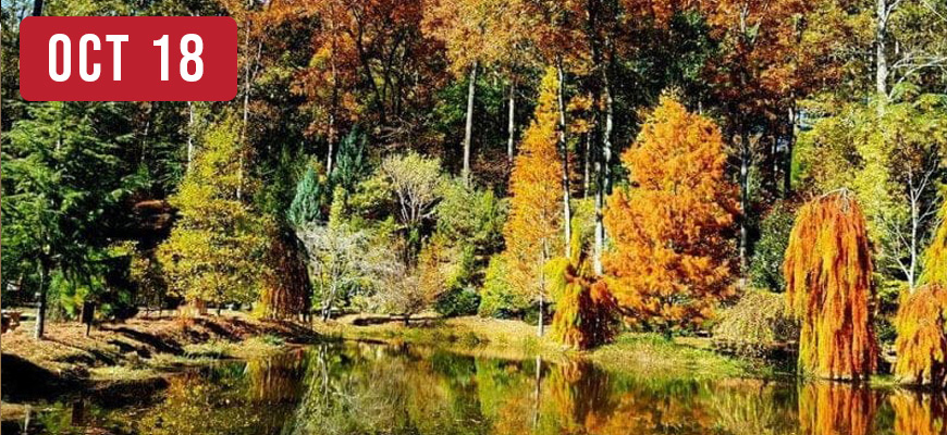 Fall Harvest Supper Club at Cox Arboretum in Canton